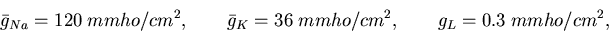 \begin{displaymath}
\bar{g}_{Na} = 120 \; mmho/cm^2, \qquad \bar{g}_K=36 \; mmho/cm^2, \qquad g_L=0.3 \; mmho/cm^2,
\end{displaymath}