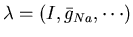 $\lambda = (I,\bar{g}_{Na},\cdots)$